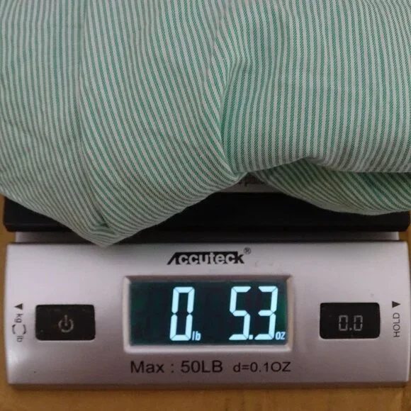 Everlane Oversized Green Button Up Stripe Cotton Shirt Size 10 Long Sleeve NWOT - Picture 8 of 8